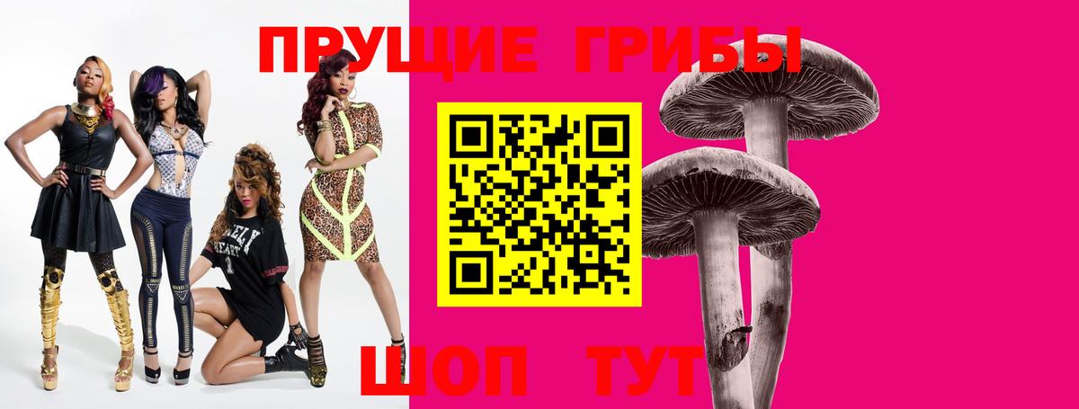 Псилоцибиновые грибы ЛСД  Вход с VPN  Горно-Алтайск 