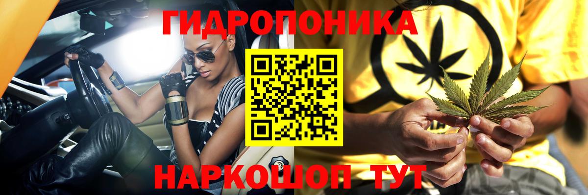 МАРИХУАНА планчик  Вход с VPN  Бошки марихуана индика  Горно-Алтайск  Марихуана Bruce Banner 